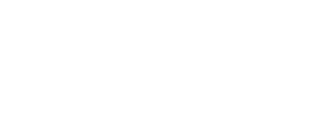 Holly Oak Tree and Landscaping Services